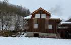 PROPRIETATE DEOSEBITA IN INIMA NATURII DESTINATIE REZIDENTIALA SAU TURISTICA - 7