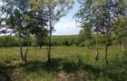 Teren intravilan de 900 mp, în Casele Micești - 7