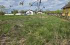Teren de 700 mp, în Ghirdoveni - 5