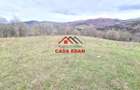 Teren extravilan Valea Doftanei 20.500 mp 6e mp - 18