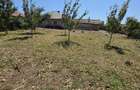 Casă individuală cu 3 camere cu Teren 1226 Mp în 23 August - 4