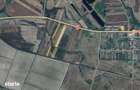 Teren extravilan 28.300 mp intre Gavojdia si Jena - 1