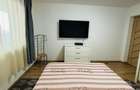 Apartament 3 camere curte proprie cartierul Arhitectilor - 4