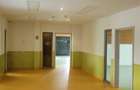Proprietate specială, de 772 mp, în Mărăști - 9