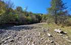 Teren agricol de 9000 mp, în Babarunca - 5