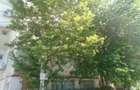 Cota 3/16 apartament 3 camere Braila, jud. Braila - terme... - 6