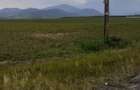 Teren de 5000 mp, în Central - 5