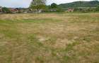 Teren intravilan 756 mp in localitatea Borozel, jud Bihor,, cu schi?a cadastrala ?i utilita?i - 4