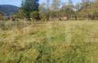 Teren intravilan, 1322 mp, zona Vatra Dornei - 5