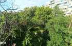 Apartament 4 camere - Drumul Taberei - 90 mp -4/4 - comision 0 - 3