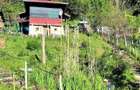 Teren si casa de vanzare - 8