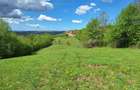 Vand teren extravilan 4.6 ha sau dezmembrez - 8
