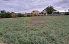 DE VANZARE TEREN 2000 MP - COSERENI( il ) - 1