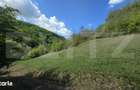 Teren extravilan, 9.083 mp, peisaj superb si liniste totala, zona Mete - 9