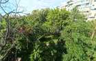 Apartament 4 camere - Drumul Taberei - 90 mp -4/4 - 10