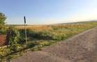 Teren intravilan 3500 mp in Ernei, cu utilitati langa teren! - 5