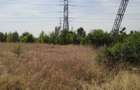 Proprietar Drumul Lunca Cetatii 2400 mp (Paralel Splai) sau Inchiriere - 14
