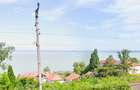 Panorama eterna asupra Balatonului - 1