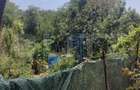 Casa batraneasca renovata, teren 1.700 mp intravilan, comuna Ple?oi - 2