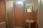 Vanzare 300 mp construiti in centrul orasului Targu Lapus - 2