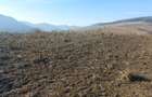 Teren in oras, zona in plina dezvoltare - 3