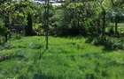 De vanzare casa cu teren 1520mp sat Dumbrava, Capusu Mare - 9