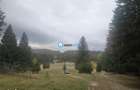 Teren intravilan Poiana Brasov