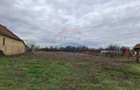 Teren intravilan 1,241mp Frumuseni, Arad - 2