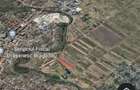 Teren Bragadiru 2500 mp. arabil 10x250m. Plantat grau - 1