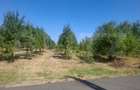 Teren constructii, 2493 mp, zona Central - 11