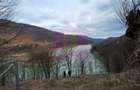 Teren cu deschidere la lac Valea Doftanei, Prahova - Valea Doftanei (Prahova) - 6