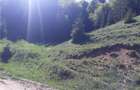 Propietar vand teren intravilan in Poiana Brasov str Valea Sticlariei 4000 mp - 1