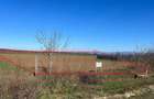 vand teren intravilan ineu. -Arad - 5