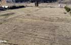 Pepiniera in Bucovina cu teren 2 hectare - 9