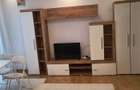 Apartament cu 1 camera + terasa generoasa | Zona Garii 350 luna - 3