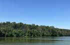 Teren de vanzare Branesti , langa padure si lac - 8