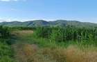 Teren Intravilan - drumul garii Ramnicu Valcea - 2