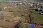 ID 7829 EXCLUSIVITATE - Teren INTRAVILAN in DUNAVA?U DE SUS - 4