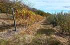 Teren de vanzare Suici, Arges