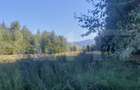Teren intravilan, 14.540 mp, zona Neagra Sarului - Vatra Dornei - 5