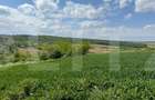 Teren extravilan 6.800 mp Zaice?ti Oportunitate in - 1