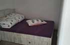 inchiriez ap.in vivalia bl.v5 zona tipografilor cu 2camere baie bucatarie balcon et.6 in timisoara - 5
