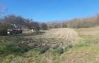 Teren de 1780 mp, în Călinești