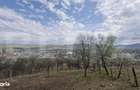Teren intravilan Viisoara cu panorama asupra orasului. 3000 euro/ar. - 3