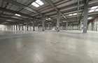 Modern Logistics Space for Lease – Ștefăneștii de Jos | 5,000–20,000 sqm - 1
