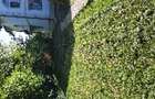 Apartament 3 camere in vila 90mp Bucium - 4