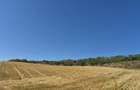 Teren de 15000 mp, în Răducăneni - 3