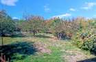 Casa de vanzare cu 4 camere Rm Valcea - 2