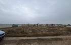 600 mp intravilan Ghercesti str. Primaverii