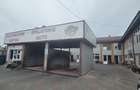 Spalatorie auto, spatii comerciale, b-dul N. Romanescu - 6